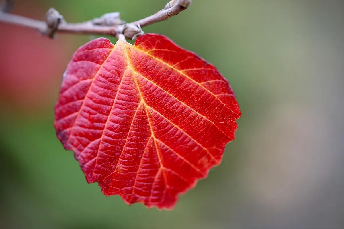 Autumn Journalling Prompts: 30 Cosy Ideas for Darker Evenings